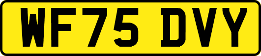 WF75DVY