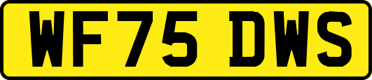 WF75DWS