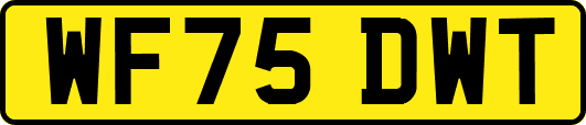 WF75DWT
