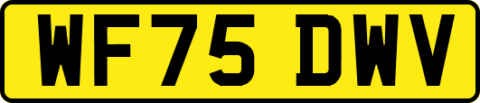 WF75DWV
