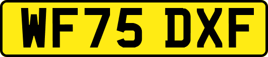 WF75DXF