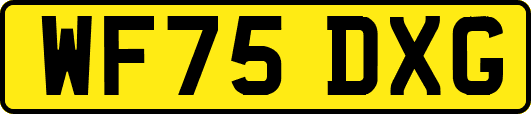 WF75DXG