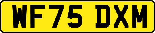WF75DXM