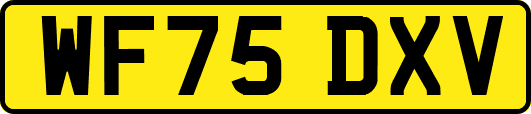 WF75DXV