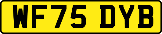 WF75DYB