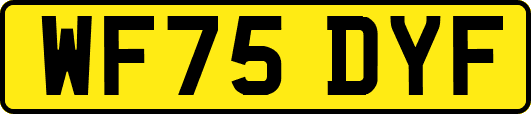 WF75DYF