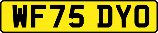 WF75DYO