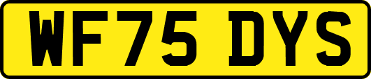 WF75DYS