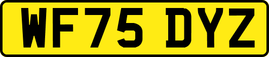 WF75DYZ