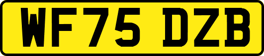 WF75DZB