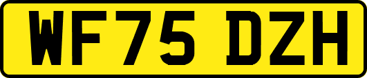 WF75DZH