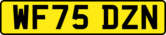 WF75DZN