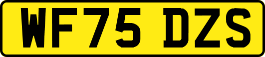 WF75DZS