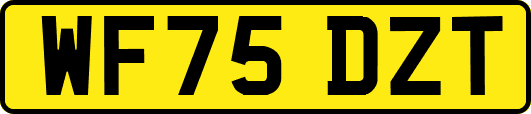 WF75DZT