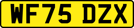 WF75DZX