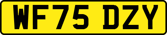 WF75DZY