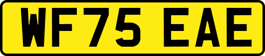WF75EAE