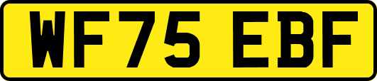 WF75EBF