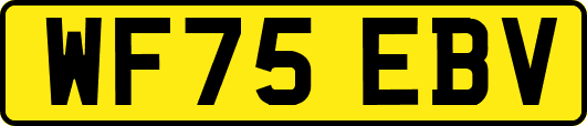 WF75EBV