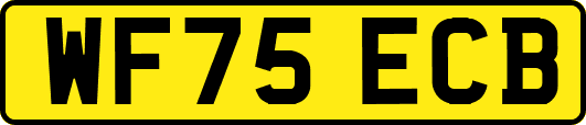 WF75ECB