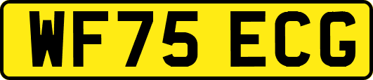 WF75ECG