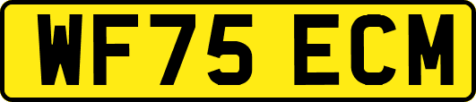 WF75ECM