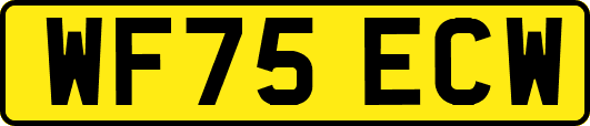 WF75ECW