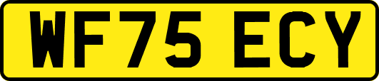 WF75ECY