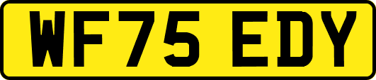 WF75EDY