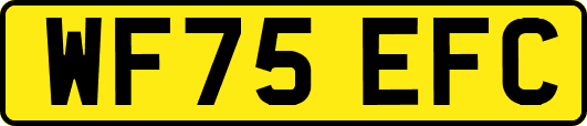WF75EFC