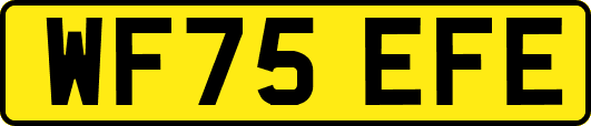 WF75EFE