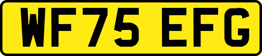 WF75EFG