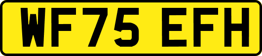 WF75EFH