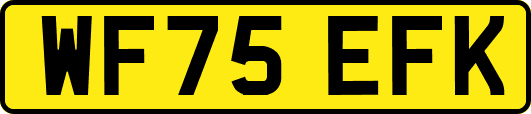WF75EFK