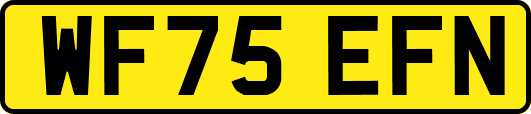 WF75EFN