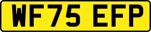 WF75EFP