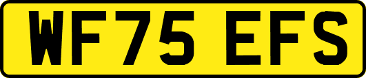 WF75EFS