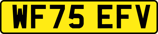WF75EFV