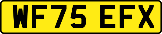 WF75EFX