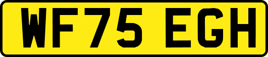 WF75EGH