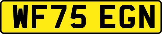 WF75EGN