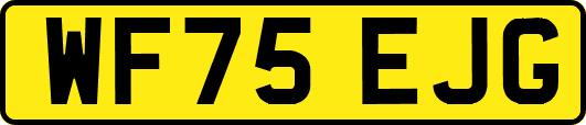 WF75EJG