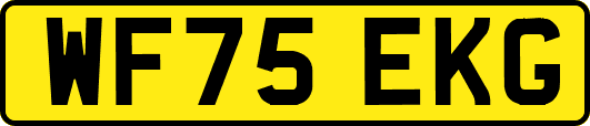 WF75EKG