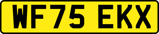 WF75EKX