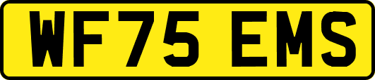 WF75EMS