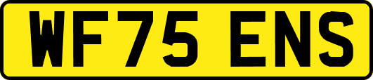WF75ENS