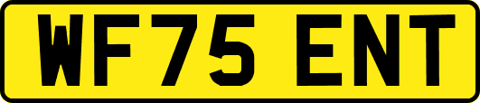 WF75ENT