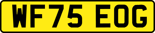 WF75EOG