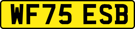 WF75ESB