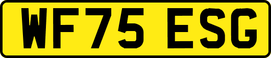 WF75ESG